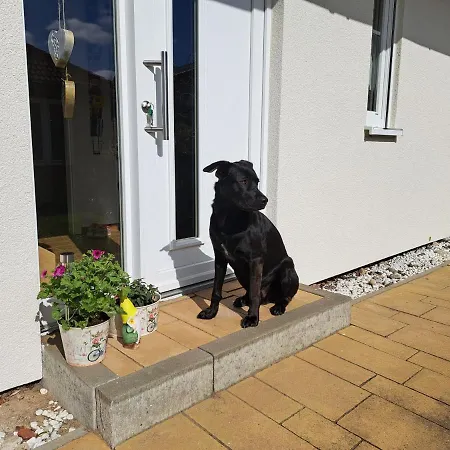 Ferienwohnung Am Nordstrand Apartamento